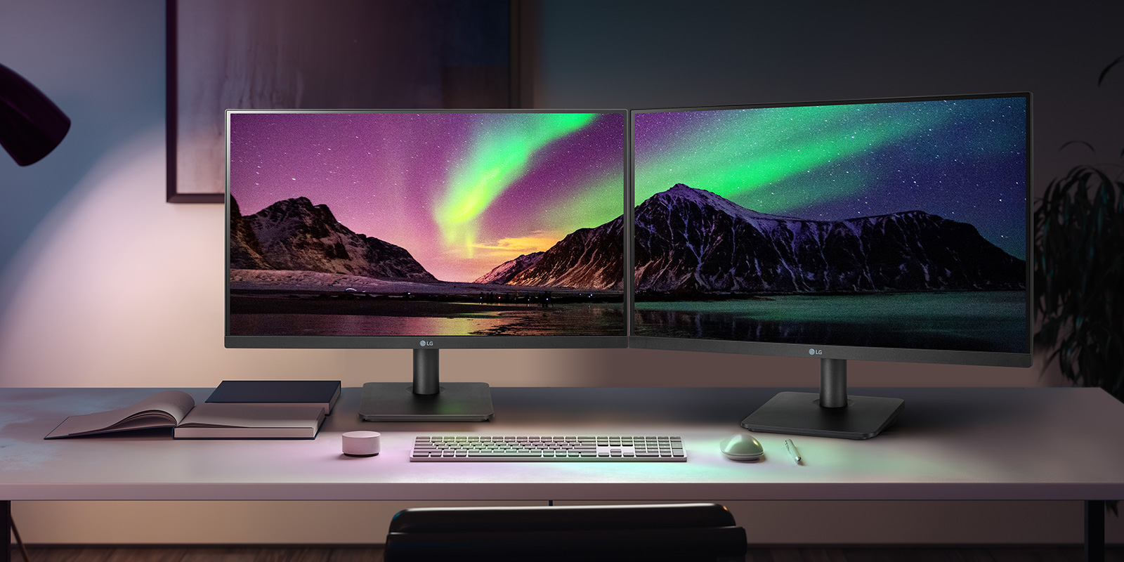 LG Monitor